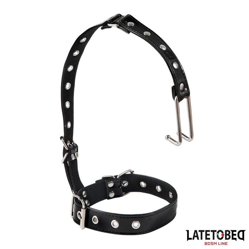 Collar con Gancho para la Nariz - Imagen 2